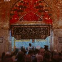 محمد محمدی