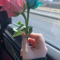 زهرا عباسی