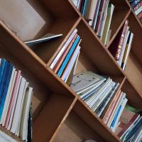 سید رضا رویتا