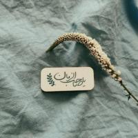 زینب فاطمیان