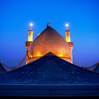 محمد مهدی امامی