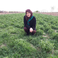 مینا باباپور