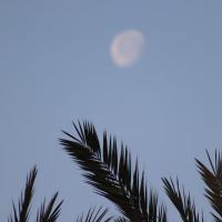 سید یونس حسینی