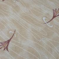 ایران فهیم راد