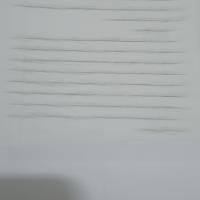 ایلیا باقری