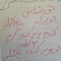 عارف عارف