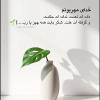 محبوبه امینی