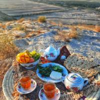Masoomeh Hanifeloo