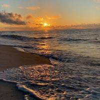 محمد مهدی موسوی