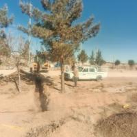امیر موذن