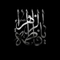 محمد محمدی