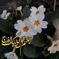Mohadeseh Keikha