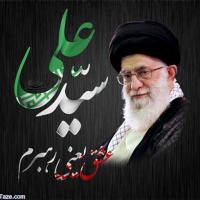 سید محمد تقی لکزایی