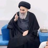 سید محمد علی نبوی