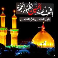 فریبا آقائی پور