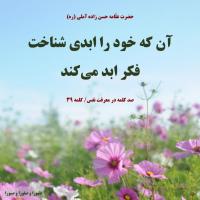 زهره میرجلیلی