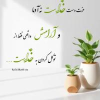 نوشین منتی