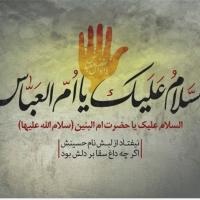 عباس عباس