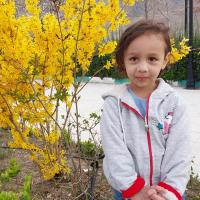 پریسا یوسفی