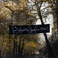محدثه تقی پور