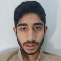 عرفان نعیمی