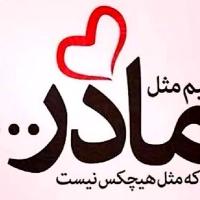 رضا دوست محمدی