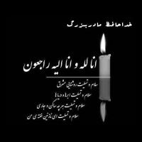 سید سجاد موسوی