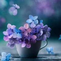 عهدیه یوسفی