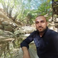 رضا رشیدی