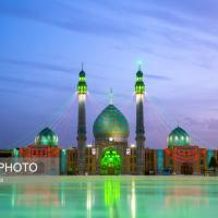 رضا واحدی