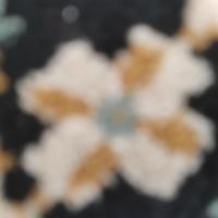 محمد محمد