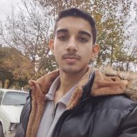 آرین دولتی