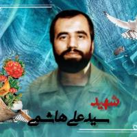 مهدی مولوی