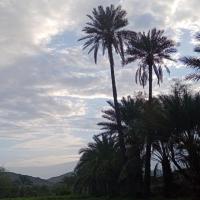 علیرضا مرادنسب