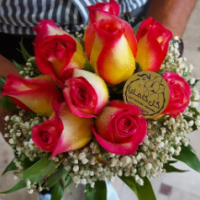 محسن مظاهری نیا