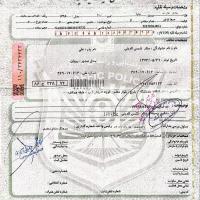 محمد هاشمی