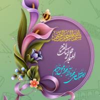 حمیده محمدی