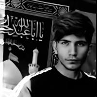 امیر شکری