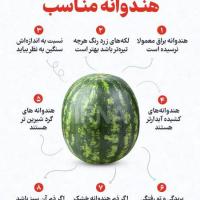 اکرم بهمن پور