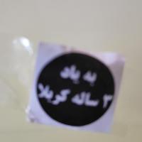 صدیقه صدیق تقی زاده