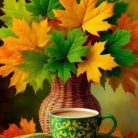 زهرا پاریاد