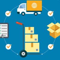 حامد رشضایی