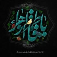 صاحب الزمان عج یا علی ع