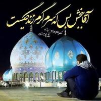 نفیسه محسنی
