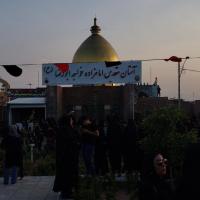 سکینه سعادتی