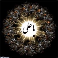 مهدی میرجمالی