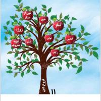 ناهید جهانگیری فر