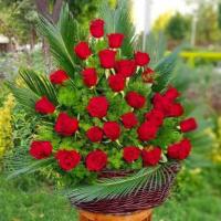 الهه سخایی