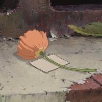 شادی حسین زاده