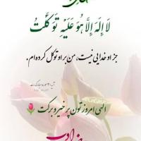 Mr Jr